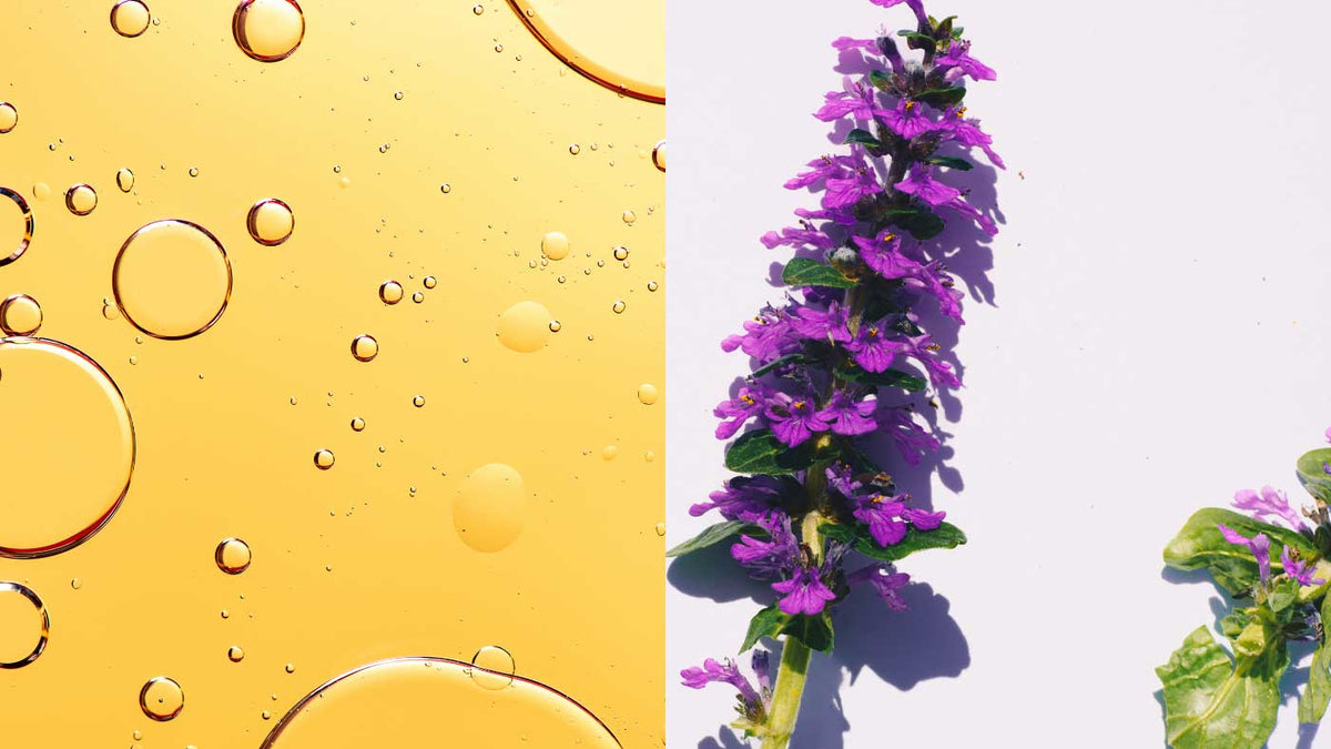 Bakuchiol vs Retinol for Sensitive Skin