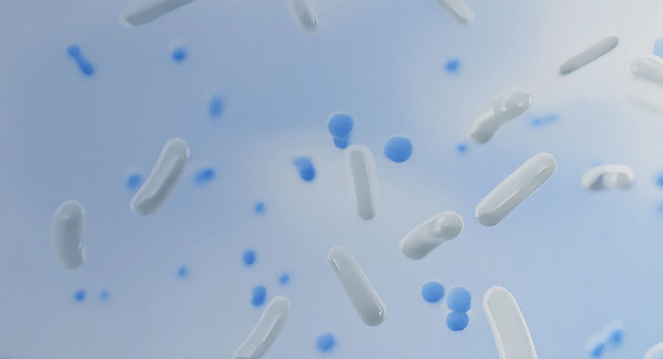 Probiotic
