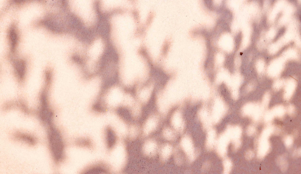 Sunspots & Discoloration