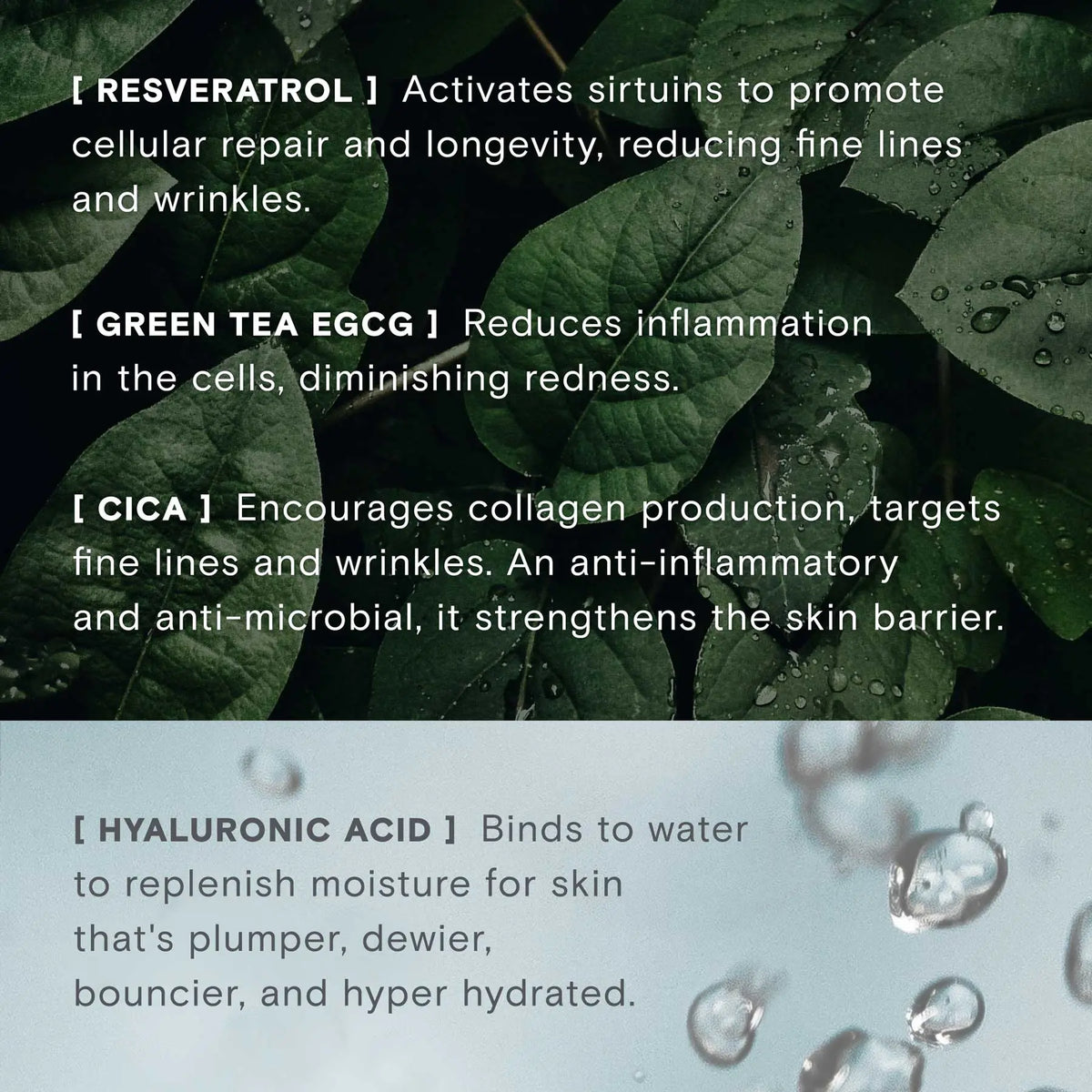 Calm Revival Green Tea Resveratrol Power Serum