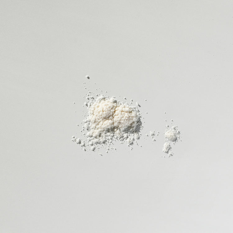 Firming Filter CoQ10 Antioxidant Powder Refill